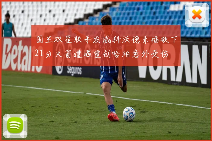 国王双星联手发威科沃德乐福砍下21分火箭遭遇重创哈珀意外受伤