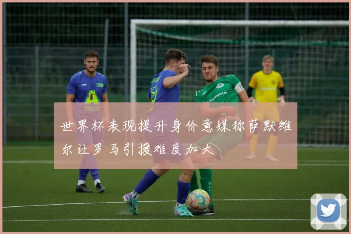 世界杯表现提升身价意媒称萨默维尔让罗马引援难度加大